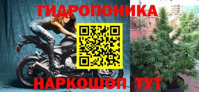 ALPHA PVP Тулун
