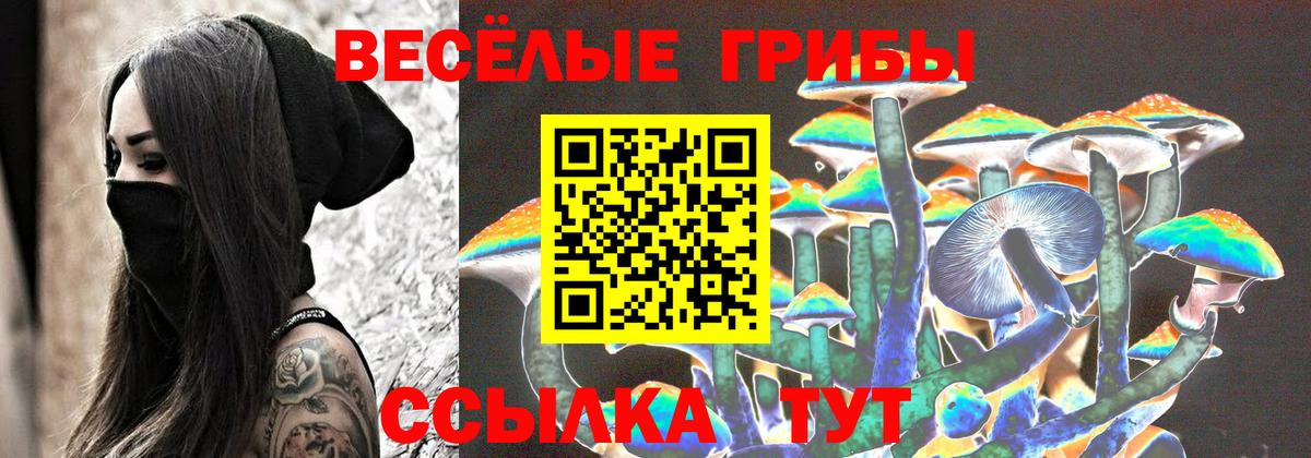 Псилоцибиновые грибы мухоморы Нерюнгри
