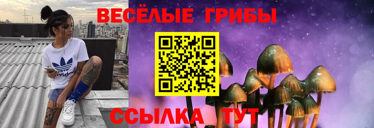 Галлюциногенные грибы MAGIC MUSHROOMS  наркота  Псилоцибиновые грибы ЛСД  Нерюнгри  Вход с VPN 